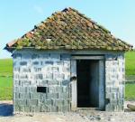 12_zona valea homoroadelor_merchiasa.jpg
